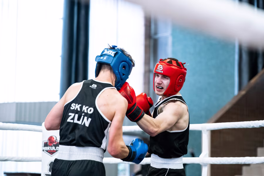 0230_ko_brno_2026060